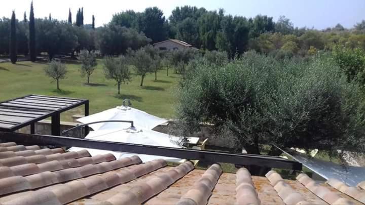 Agriturismo Lupo Cerrino Тарквиния Экстерьер фото