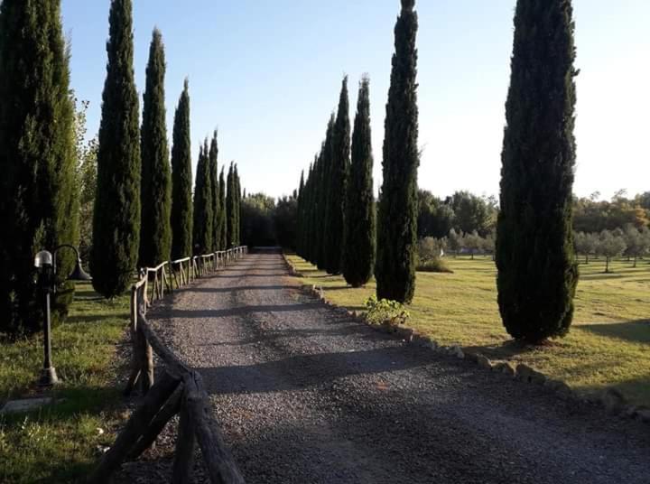 Agriturismo Lupo Cerrino Тарквиния Экстерьер фото