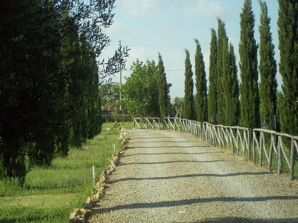 Agriturismo Lupo Cerrino Тарквиния Экстерьер фото