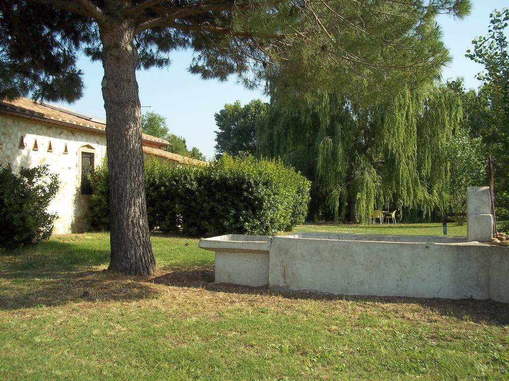 Agriturismo Lupo Cerrino Тарквиния Номер фото