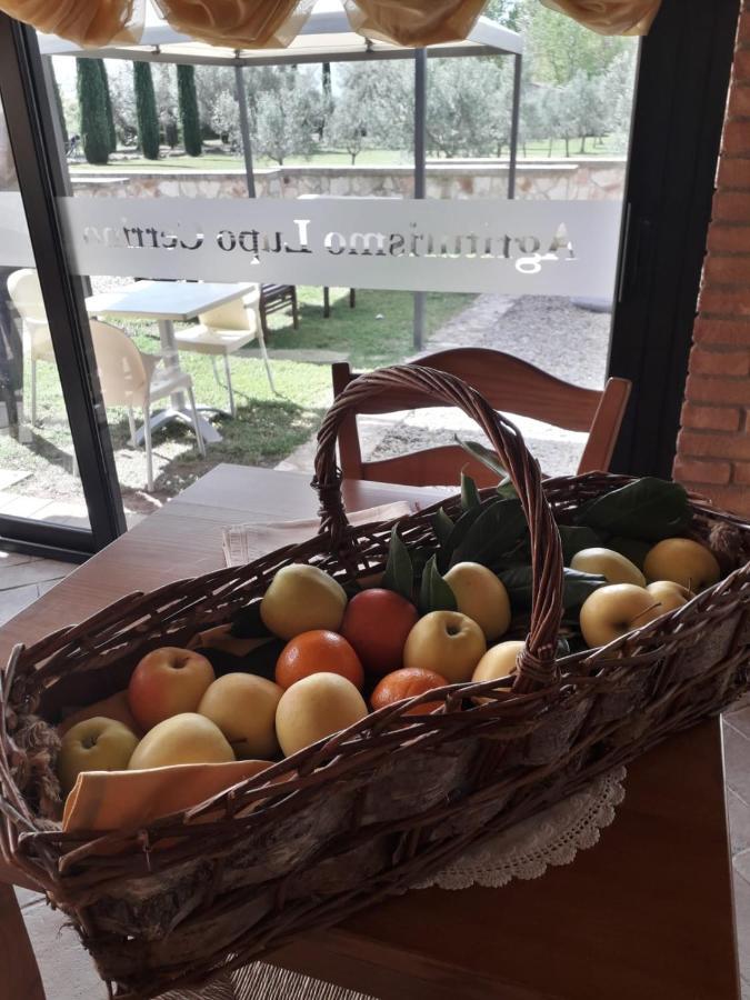 Agriturismo Lupo Cerrino Тарквиния Экстерьер фото