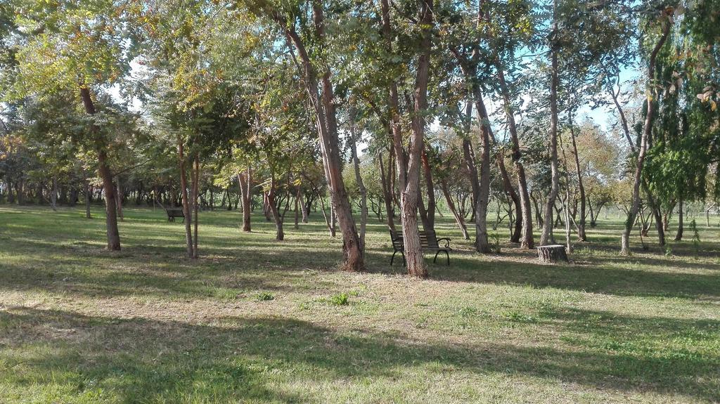 Agriturismo Lupo Cerrino Тарквиния Экстерьер фото